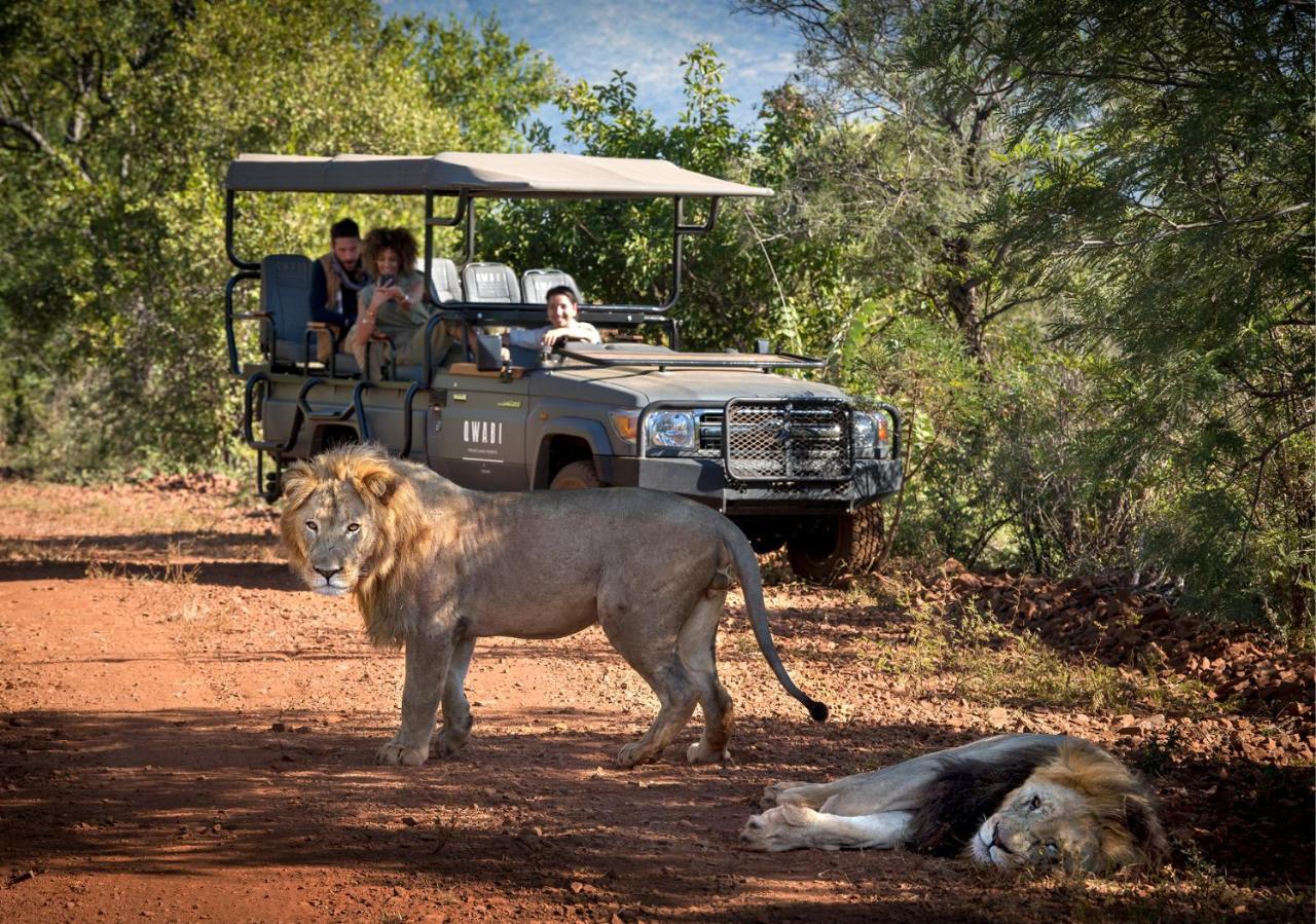 Babohi At Qwabi Private Game Reserve By Newmark Bela-Bela Zewnętrze zdjęcie